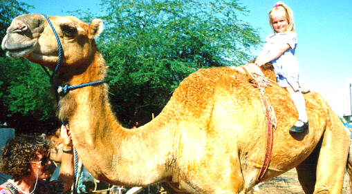 Alice at the camel market.