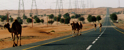 Road to Bida Bint Saud