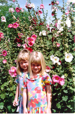 Hollyhocks at Prisunic.