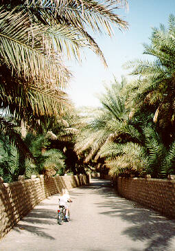 Al Ain Oasis