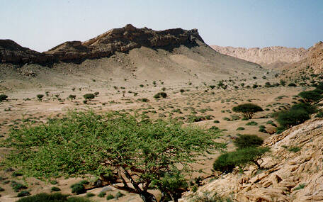 Valley in Buraimi
